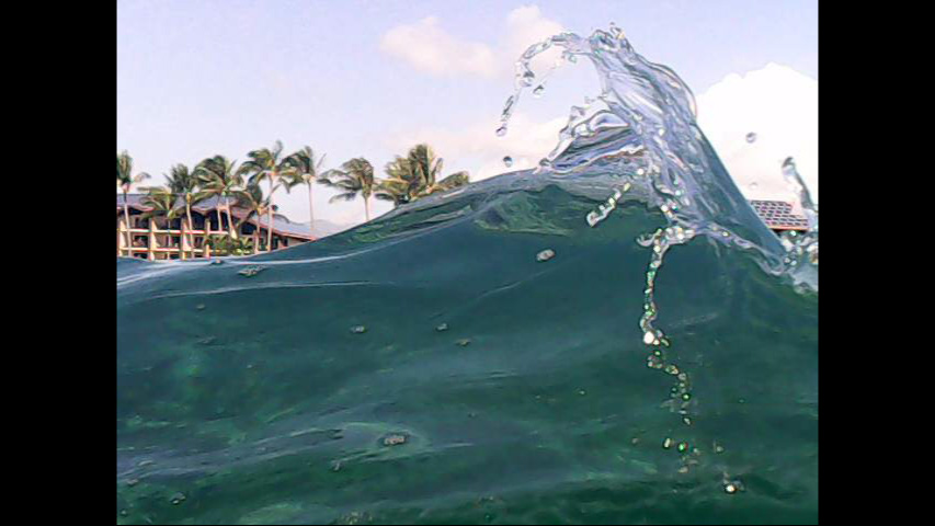 Day 4 snorkeling @ Beach House-